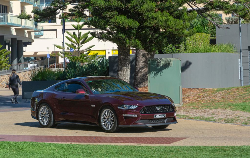 340562210_895583128339321_6995399290602377144_n