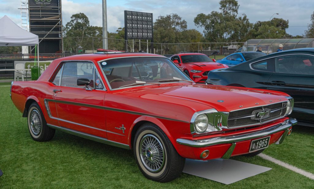 340564422_230389706209855_922408488219762624_n