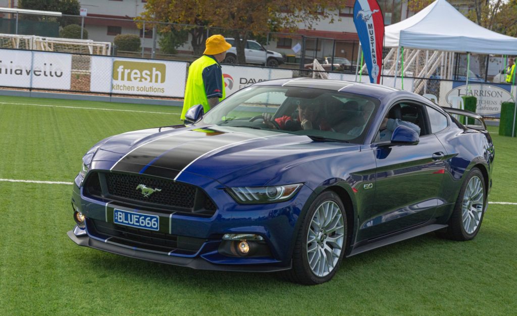 340591023_918972289367862_7296706583189784335_n