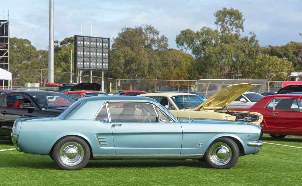 340604858_765801408353304_7002578570921728044_n