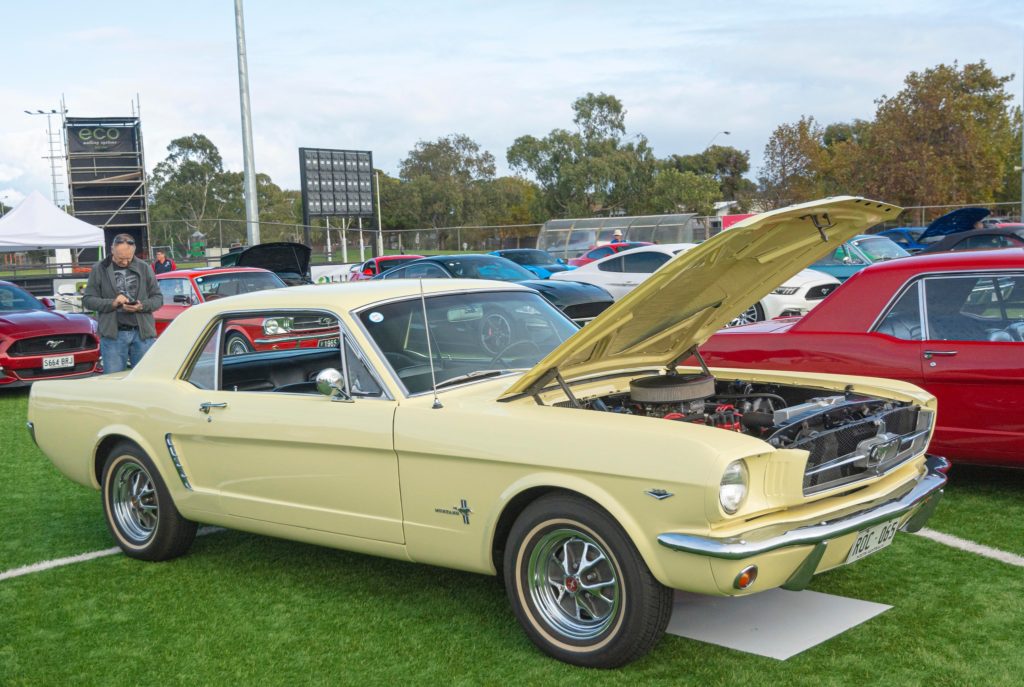 340608381_926500645217495_8676585409377153546_n