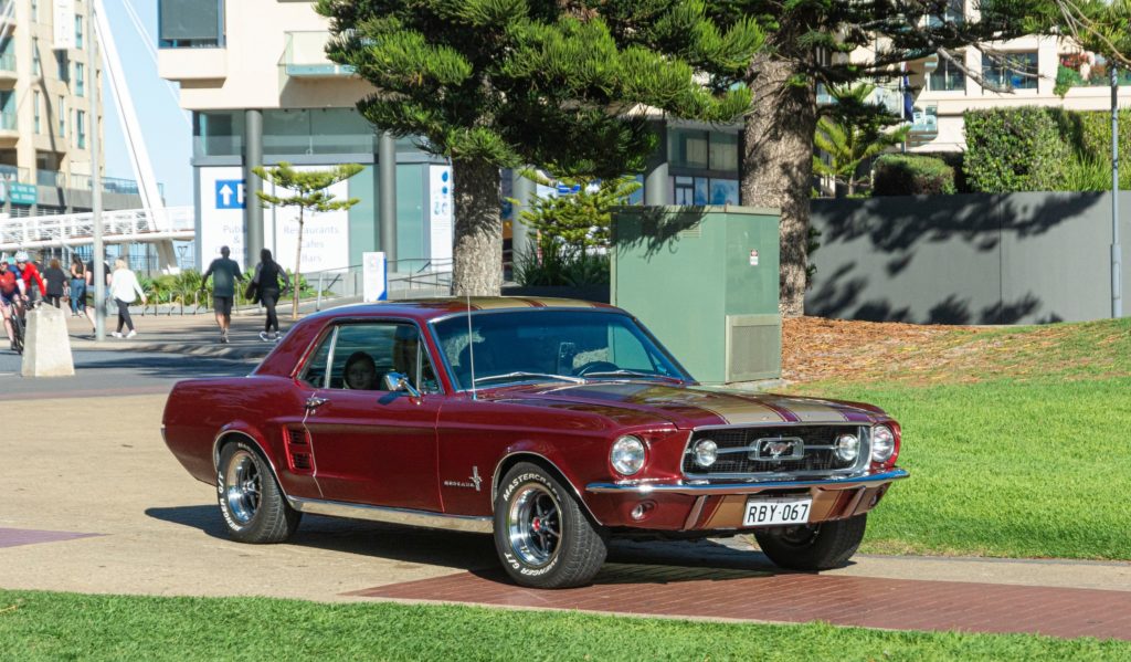 341025721_771934344652712_4524732718328240861_n