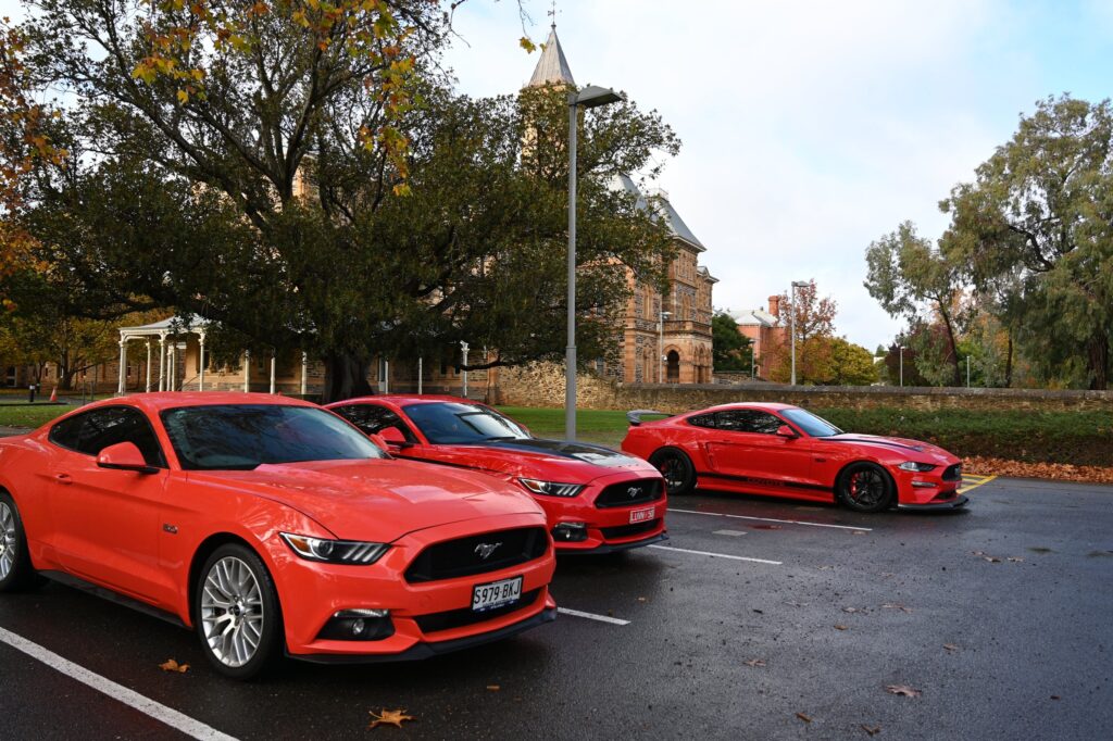 349012159_206831251709955_1678653850313211661_n