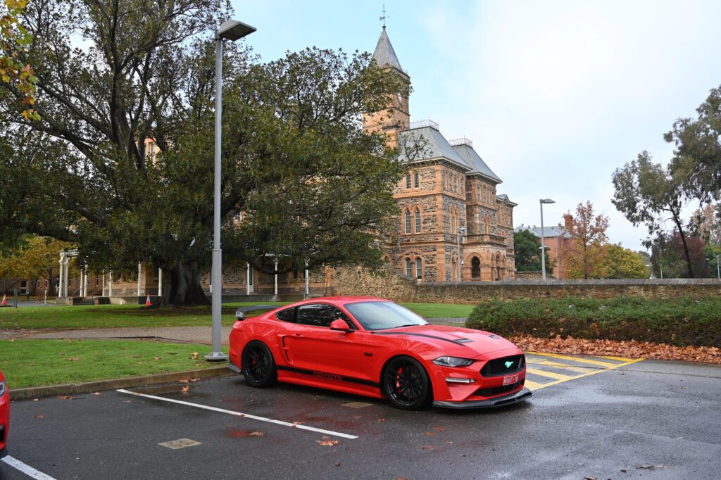 349063567_986028329480198_852296817565131979_n