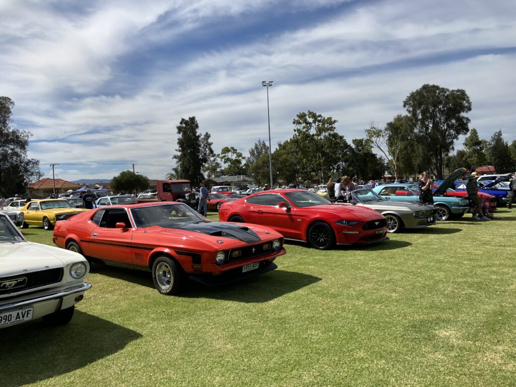 IMG_9876-65d2e4c8b3974