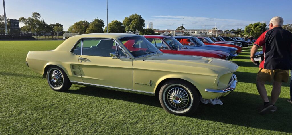 473618105_919457850377132_132277010289674209_n-689ed204727d5