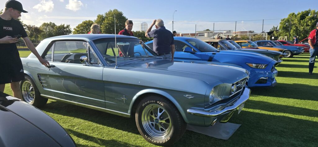 473628091_919455963710654_7222135188366239951_n (1)