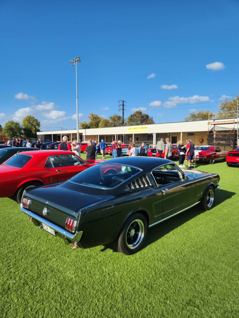 473702006_1168391501387563_7192487135699797696_n-689ed23a1de1f