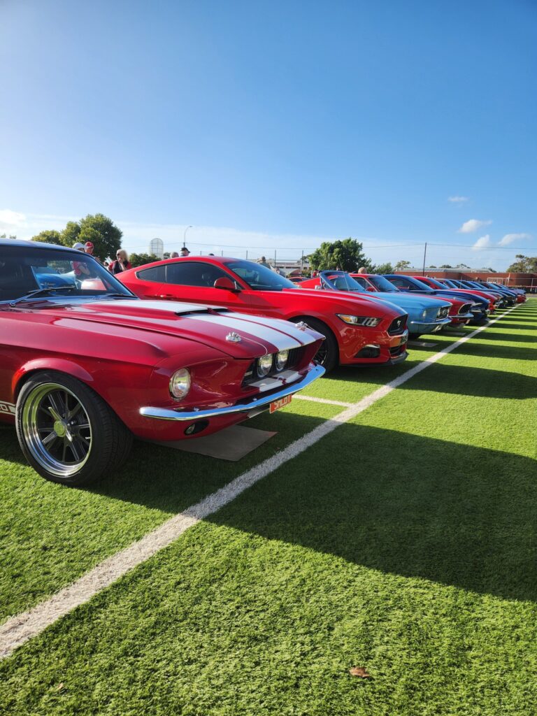 473792765_1168391411387572_1683067751292192174_n (1)