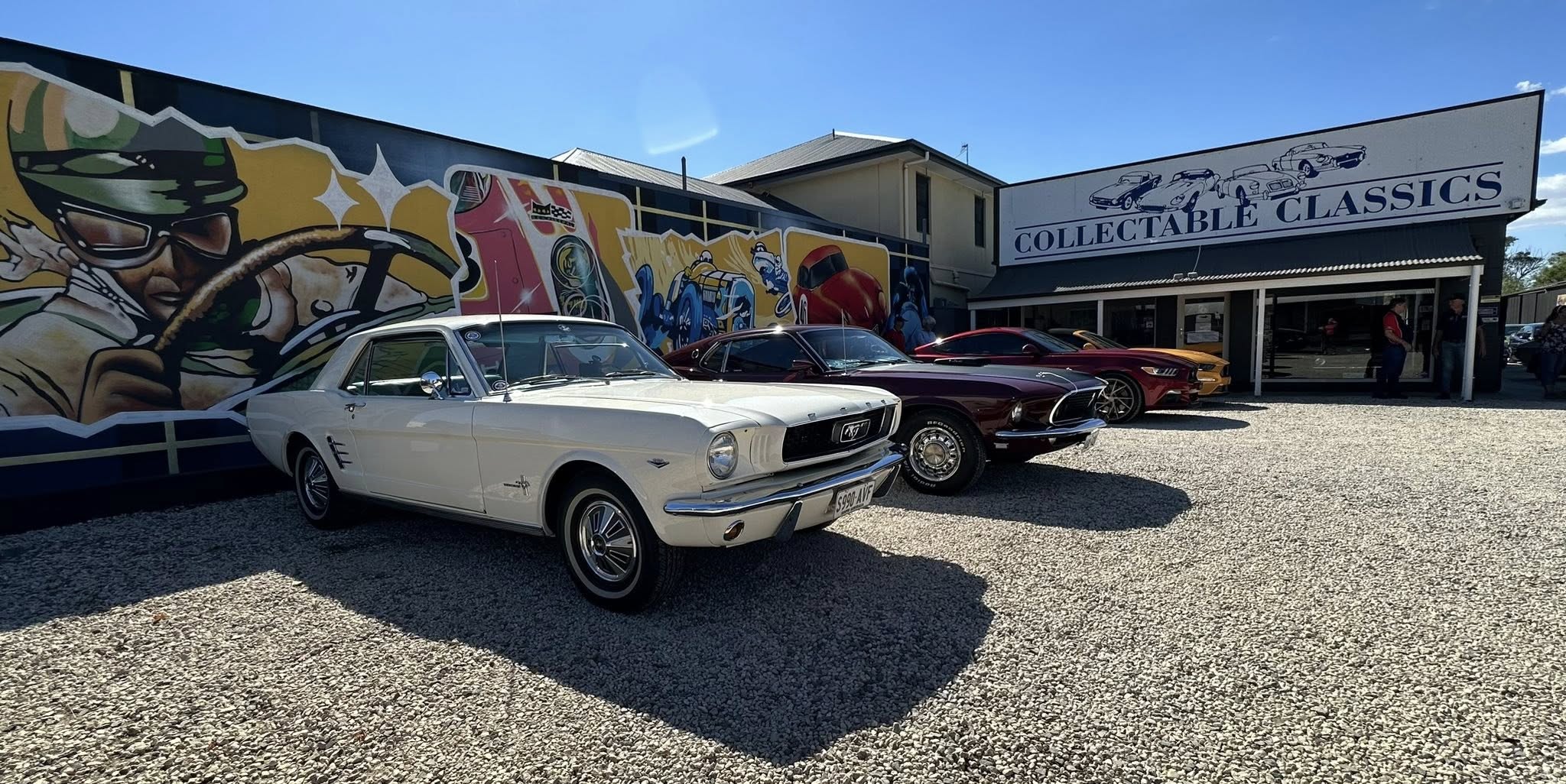 490353384_29080065688308909_267218780833711537_n