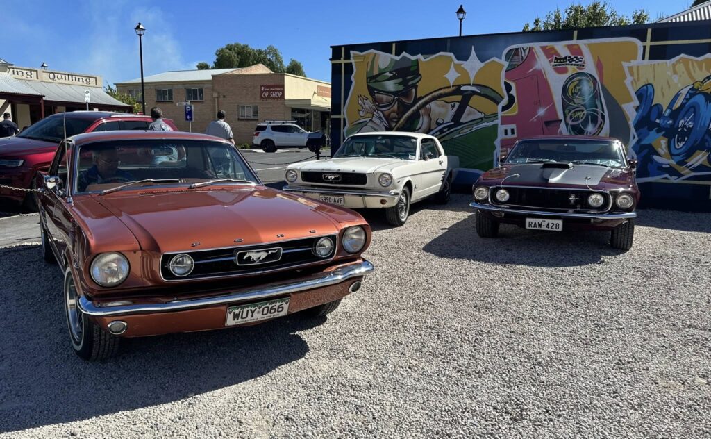 490825115_29080066914975453_8861153734755932373_n