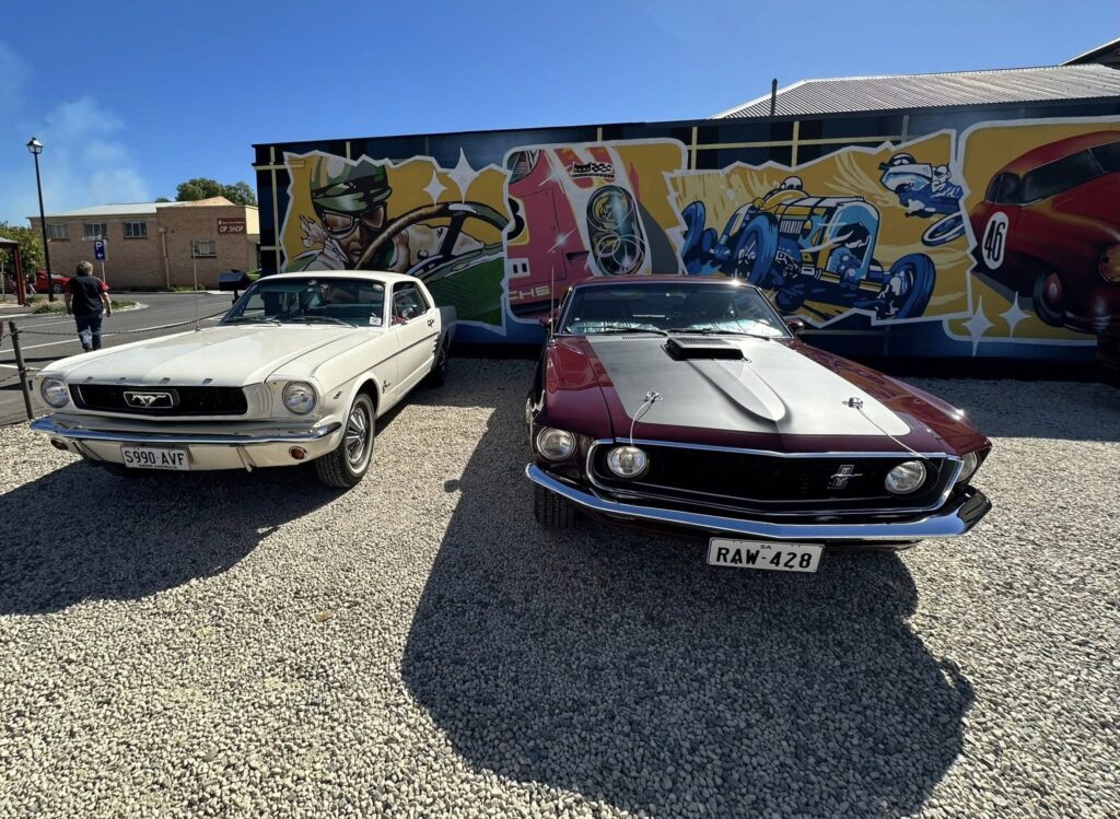 490846083_29080066894975455_5864631654622223507_n