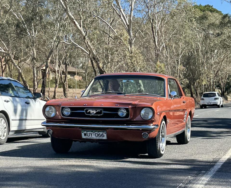 495382390_2186471421817851_5789346223556491414_n