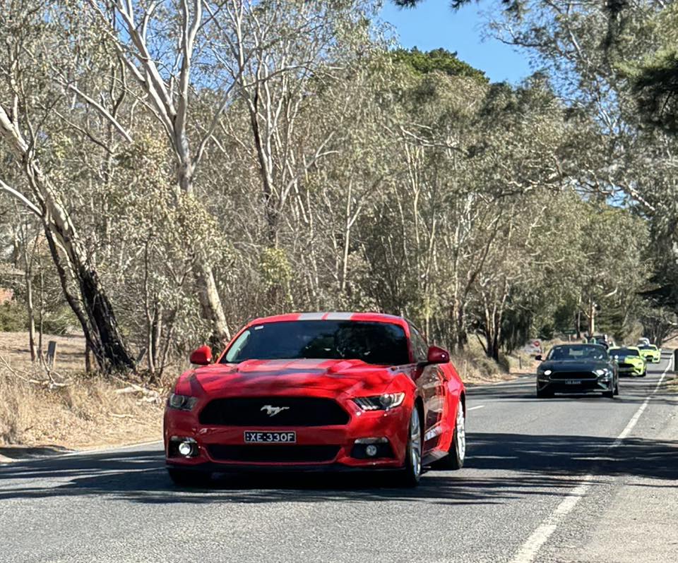 496126177_2186470861817907_6291247810850591182_n