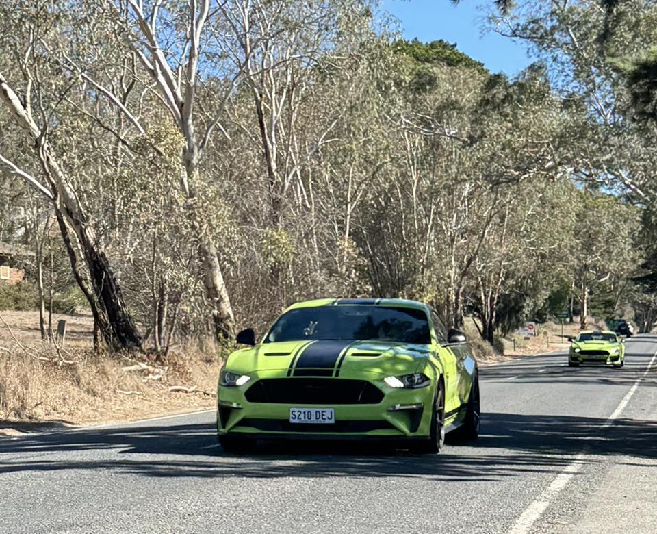 496305027_2186469441818049_3568167627388022494_n