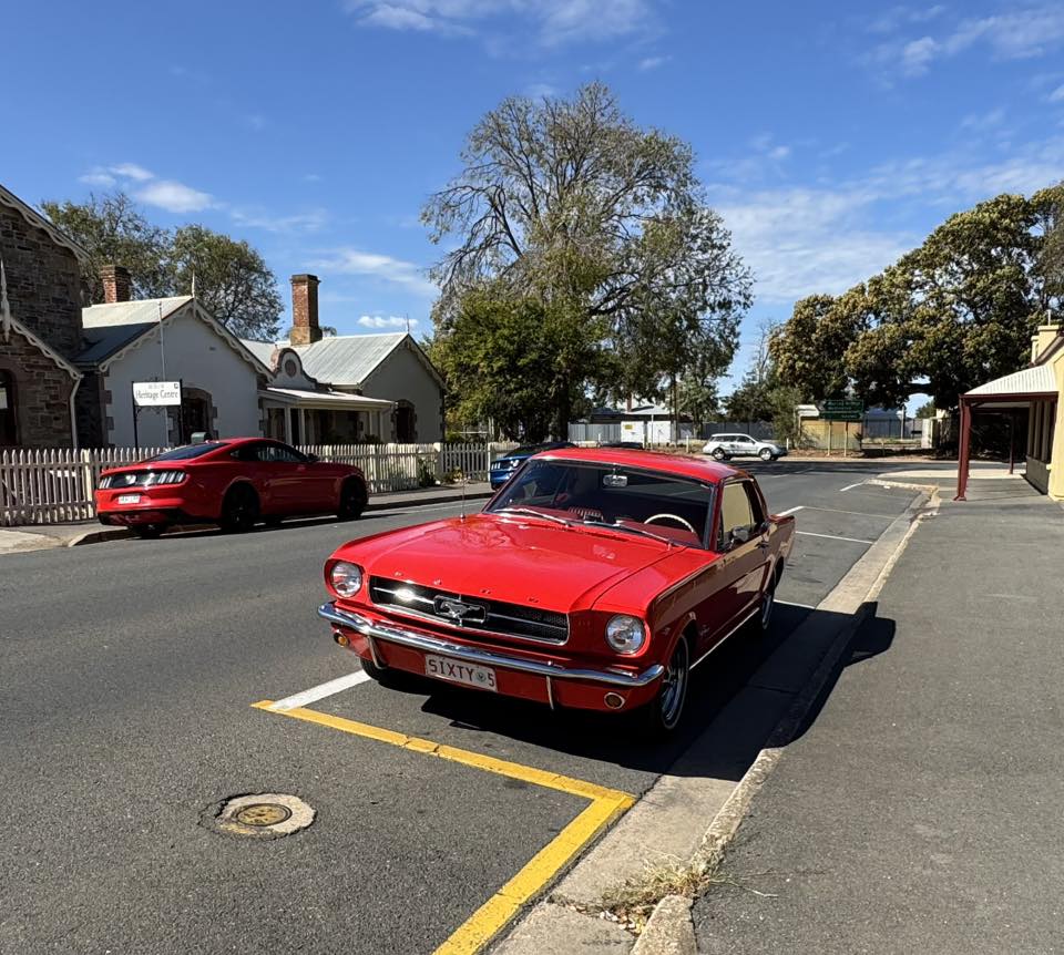 496946850_2186471815151145_8400590689516238826_n