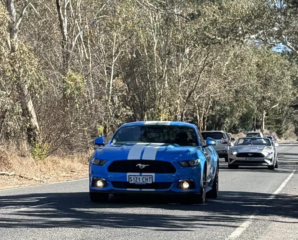 497457242_2186469428484717_4844130674207889941_n