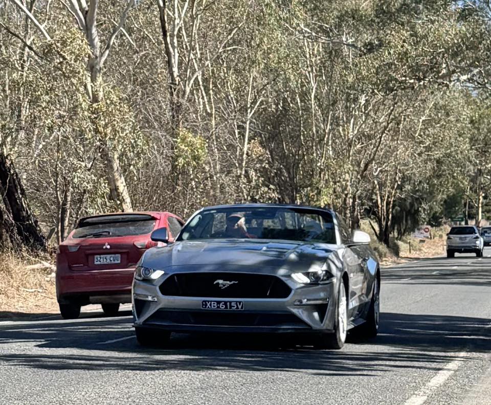 497462017_2186471435151183_6156161094905989042_n