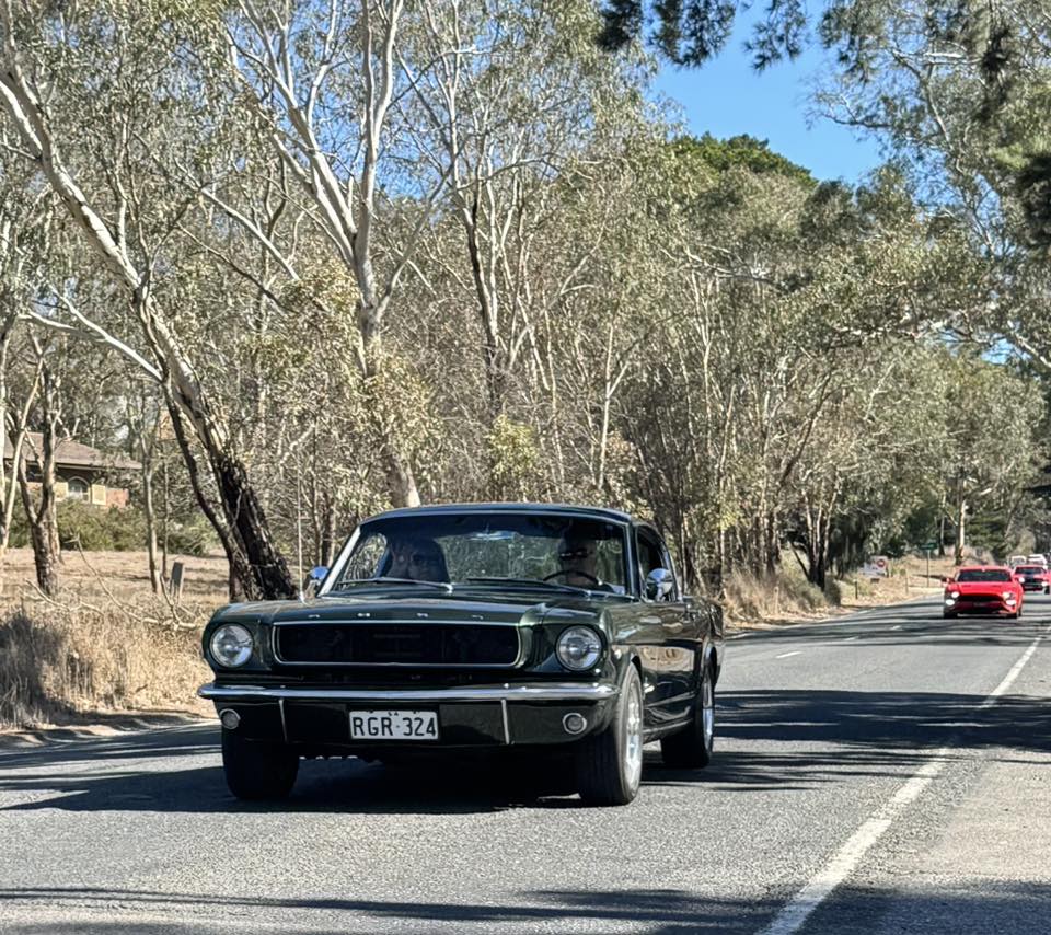 497674628_2186470921817901_1814090719559242430_n