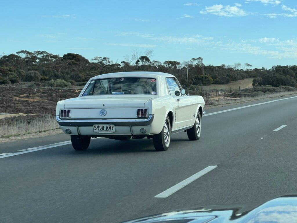 510740823_1555928765365843_6012178043030401826_n