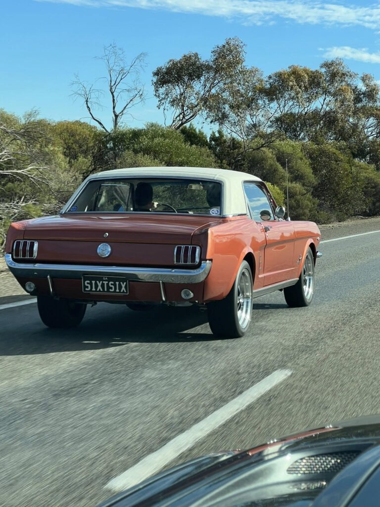 512660145_1555928435365876_8693267614665864578_n