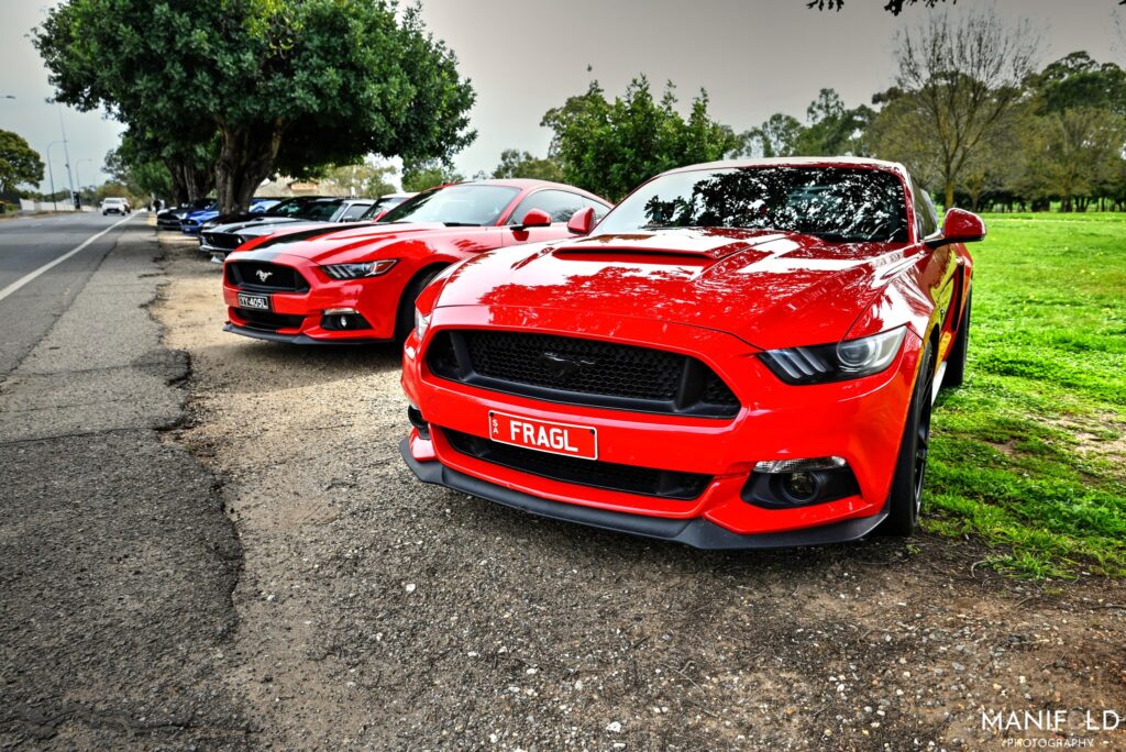 536132225_1571138934307421_7367712453481860388_n