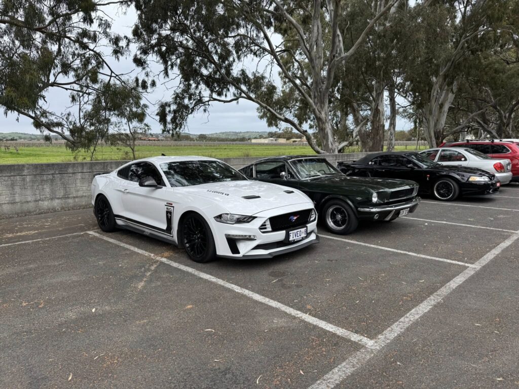 537258004_2271814746616851_5101598516442472277_n