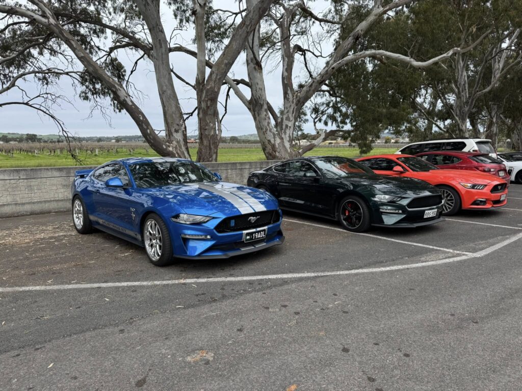 537496826_2271814469950212_7671495722660240185_n