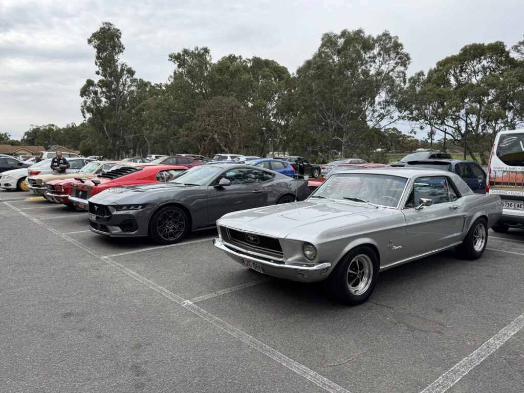 538210169_2271814493283543_3043701747141485661_n