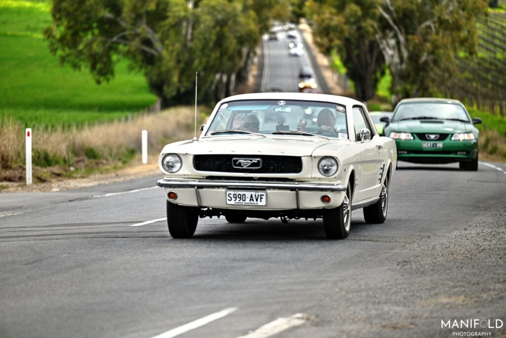 538910884_1571140470973934_6576180449306402609_n