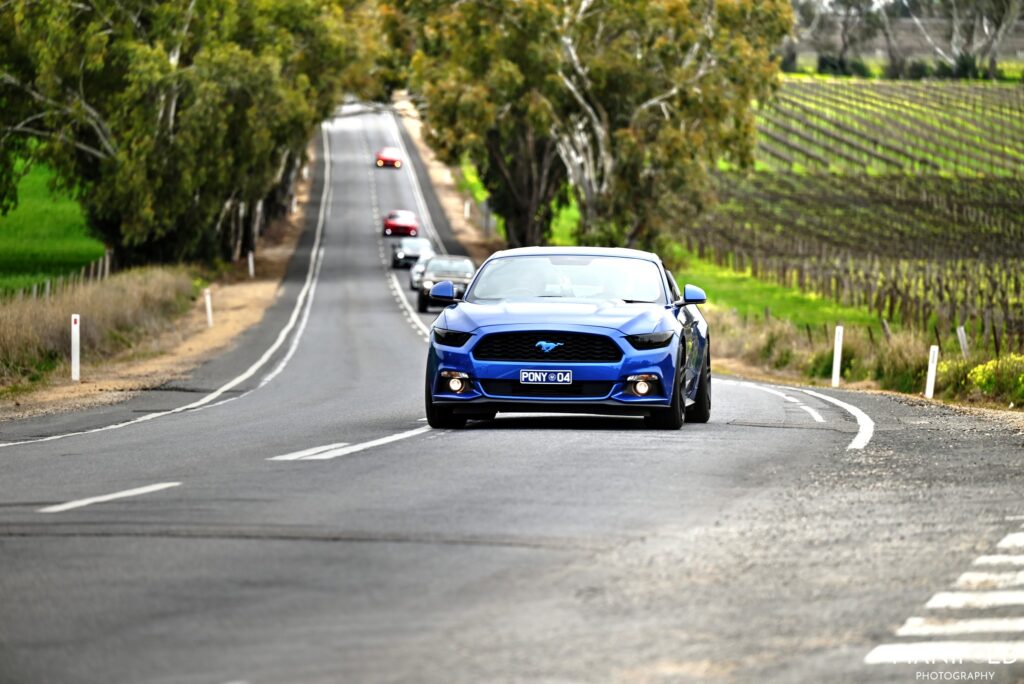 539422693_1571139104307404_8022601657167326648_n