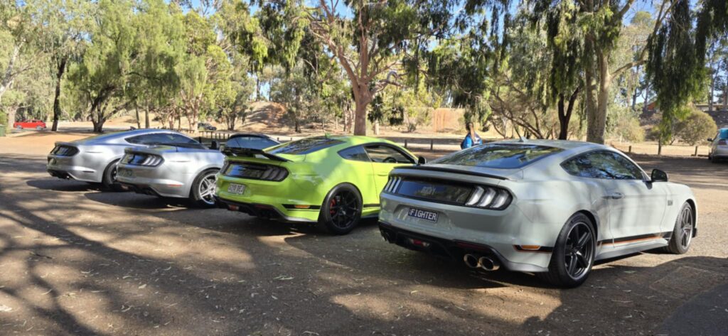 att.1HWJAXwwH9WYMjdErrcxG35q2_euP3jYXN8yDgoGiJo