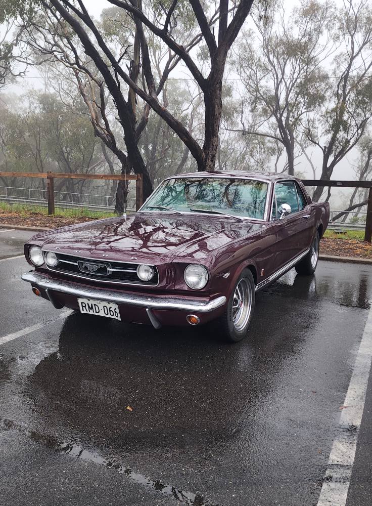 548861380_10238966072639370_2609171601567593422_n