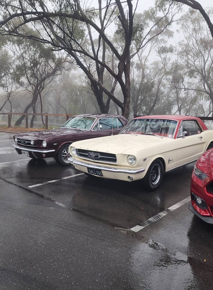 550508091_10238966073479391_2697044173364468934_n