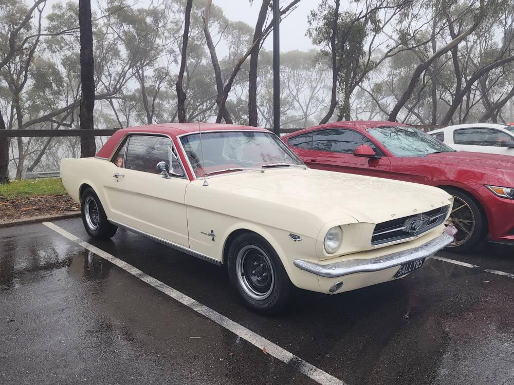 550777169_10238966069199284_9222045818968774220_n