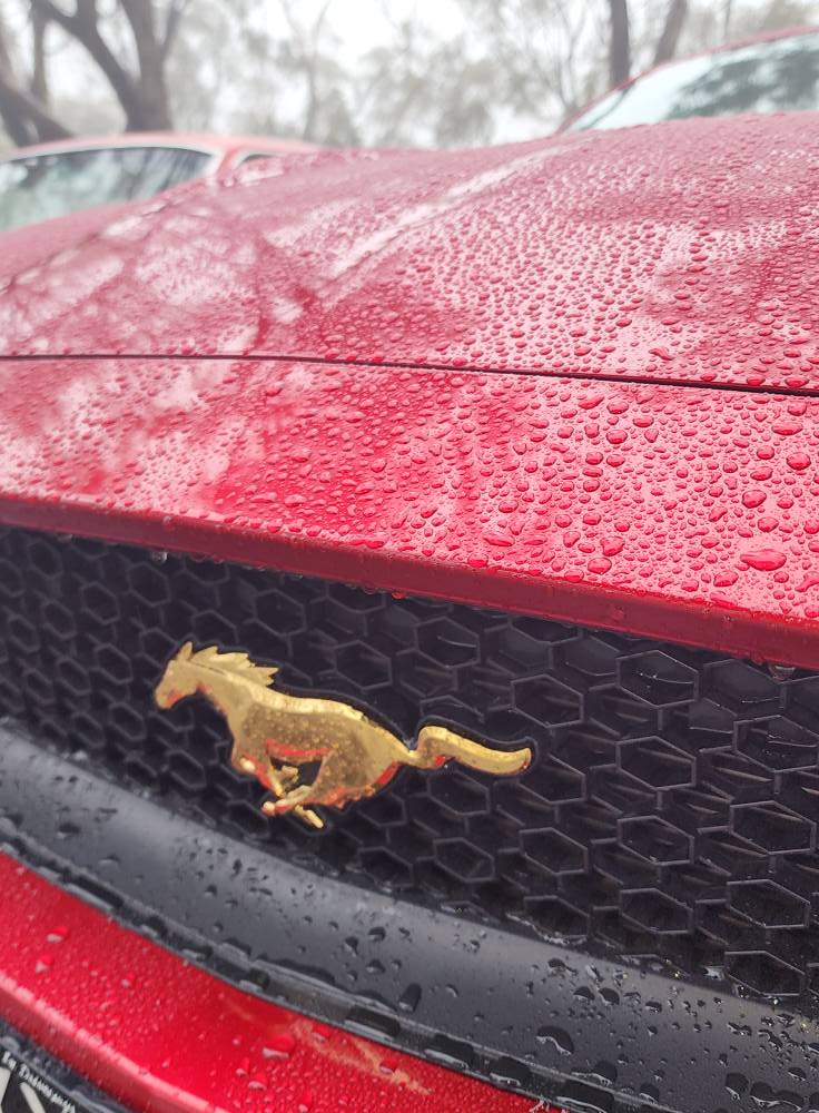 551118009_10238966072079356_7086073187681852660_n – Copy