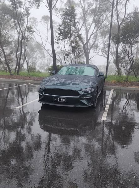 551872007_10238966059319037_3088722660168635858_n