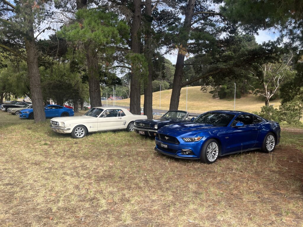 IMG_8471