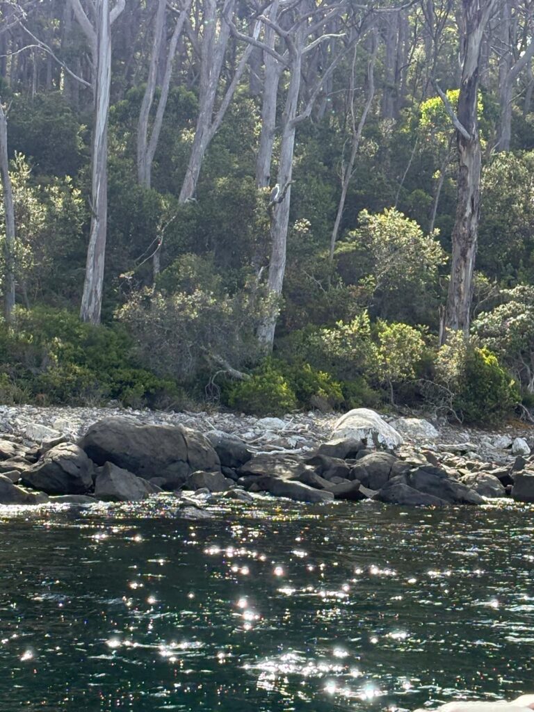 IMG-20260222-WA0037