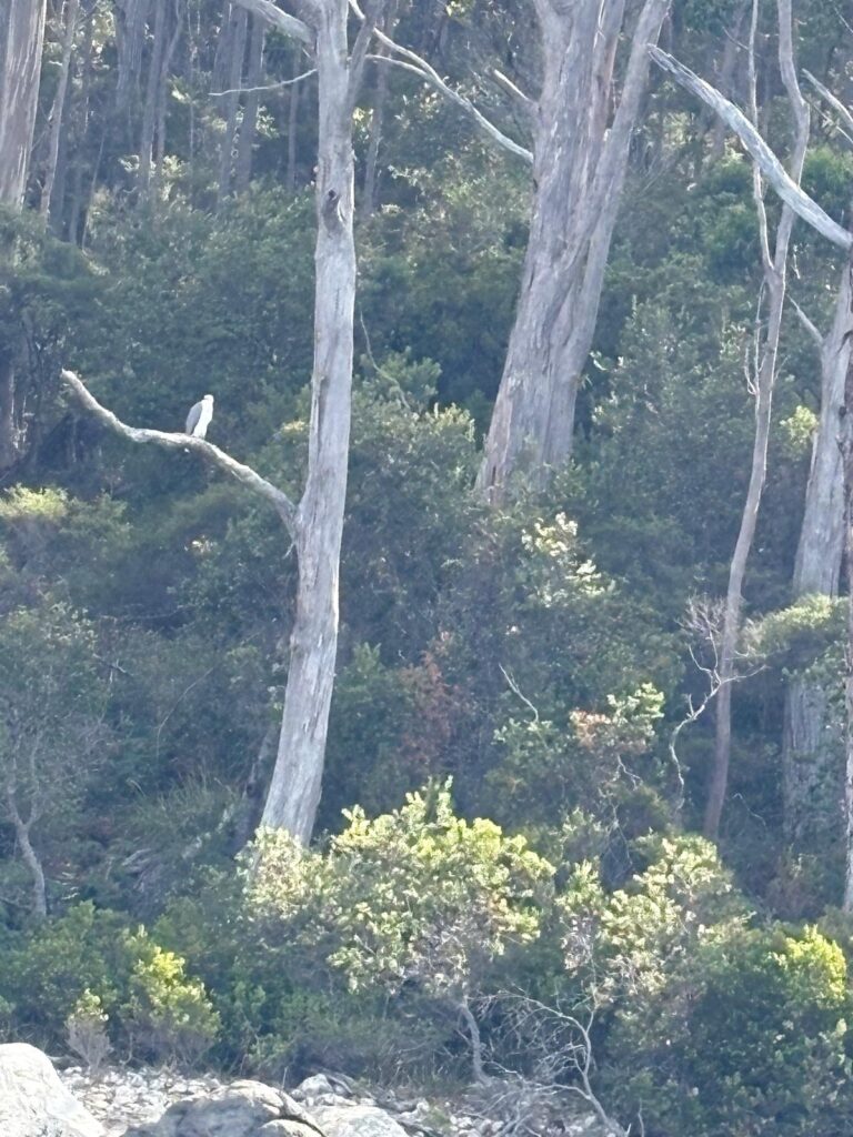 IMG-20260222-WA0038