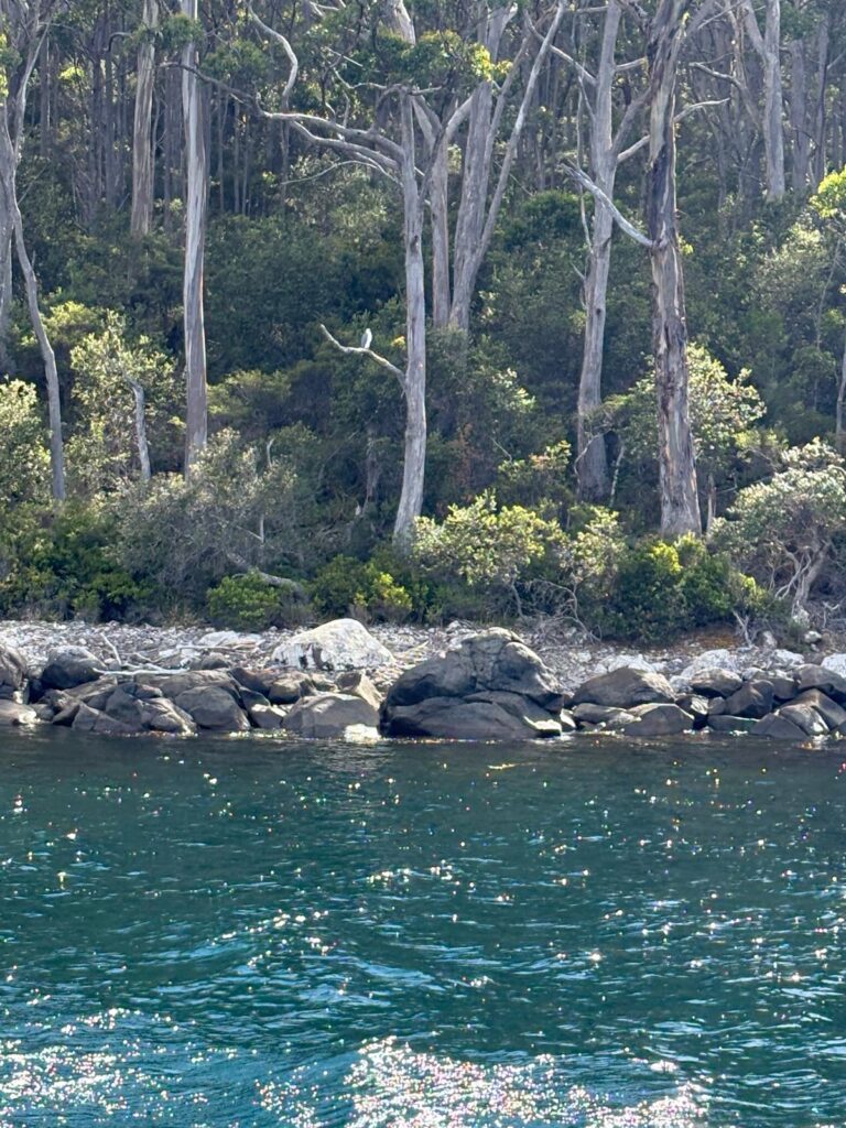 IMG-20260222-WA0039