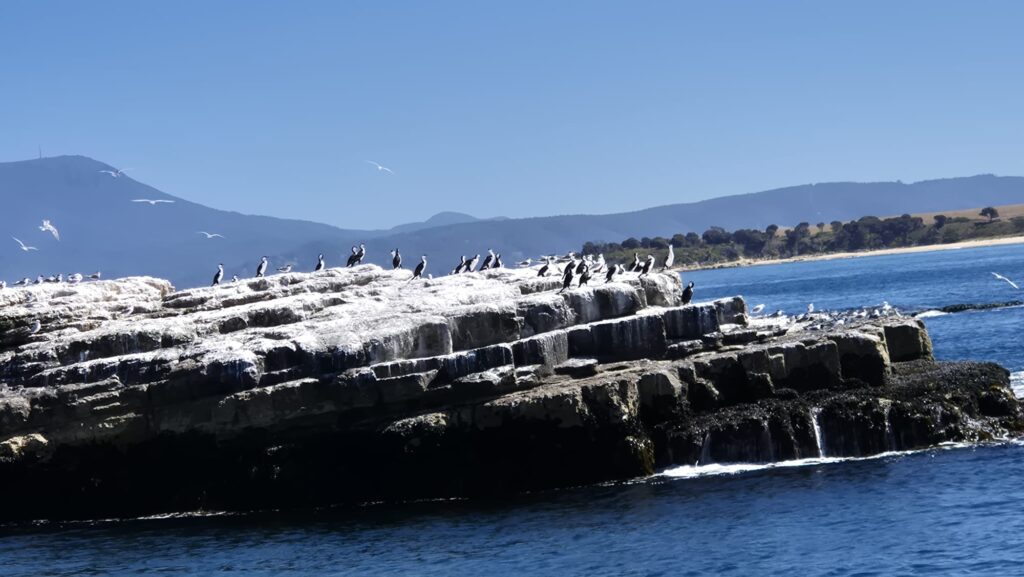 IMG-20260224-WA0024