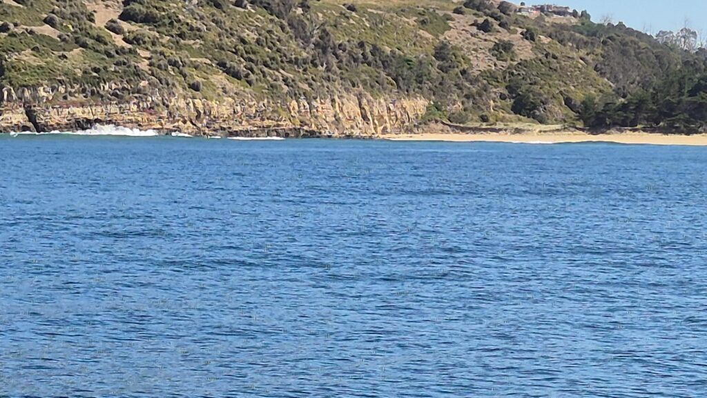 IMG-20260224-WA0026