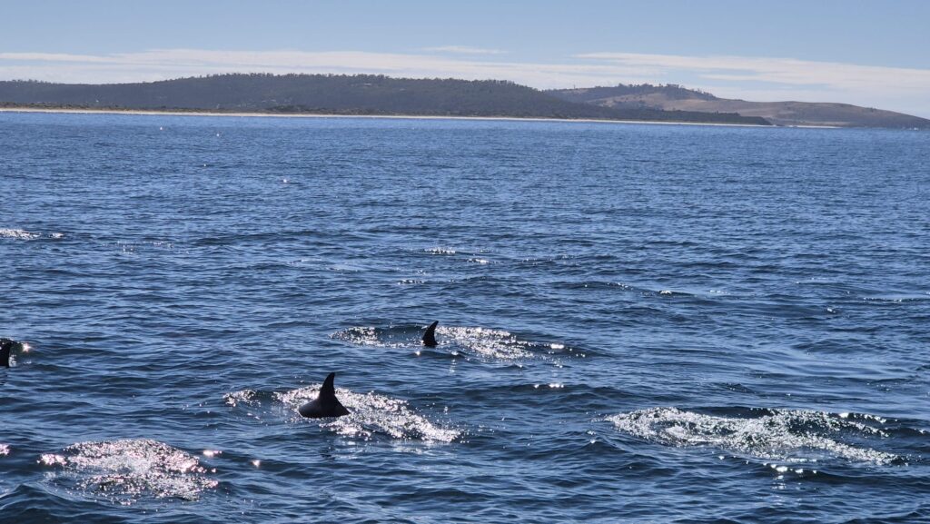 IMG-20260224-WA0027