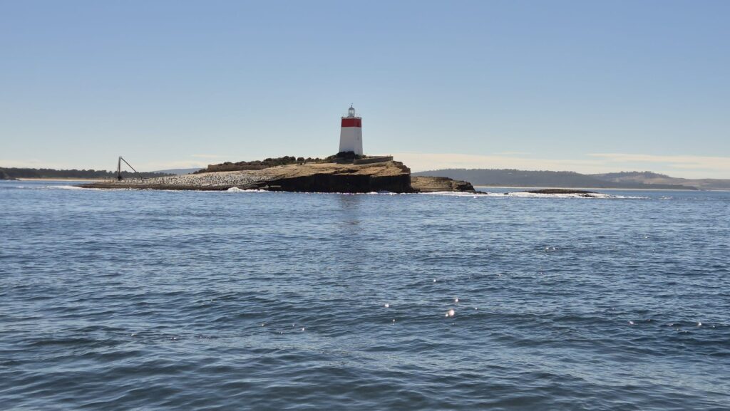 IMG-20260224-WA0029
