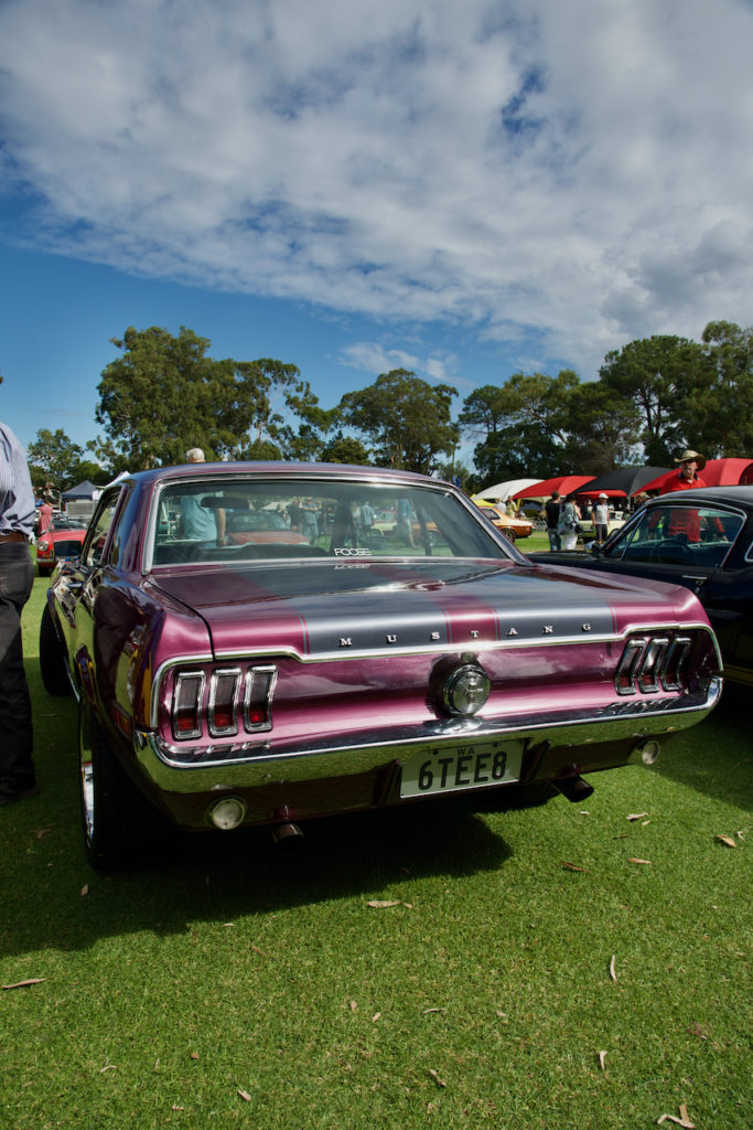 DSC_4570