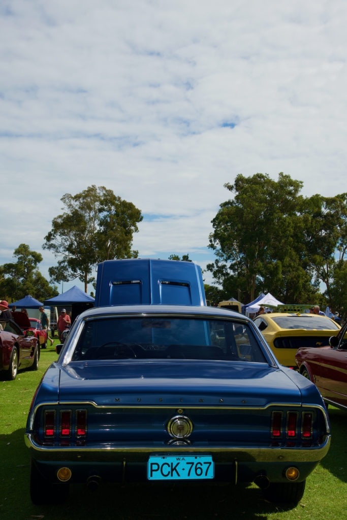 DSC_4621