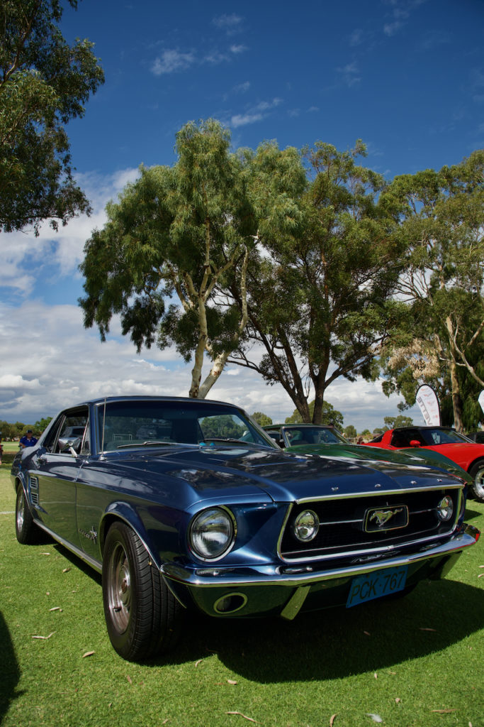 DSC_4628