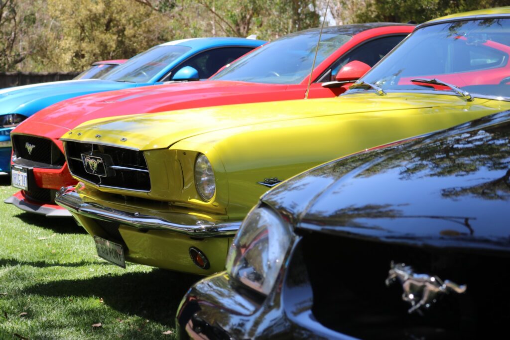 428315485_10160031074940197_1473664253353368997_n