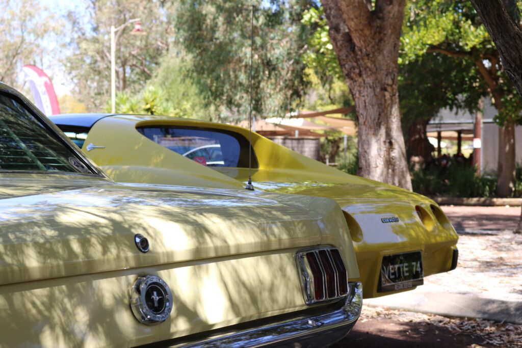 428374607_10160031075840197_2919328574643245783_n